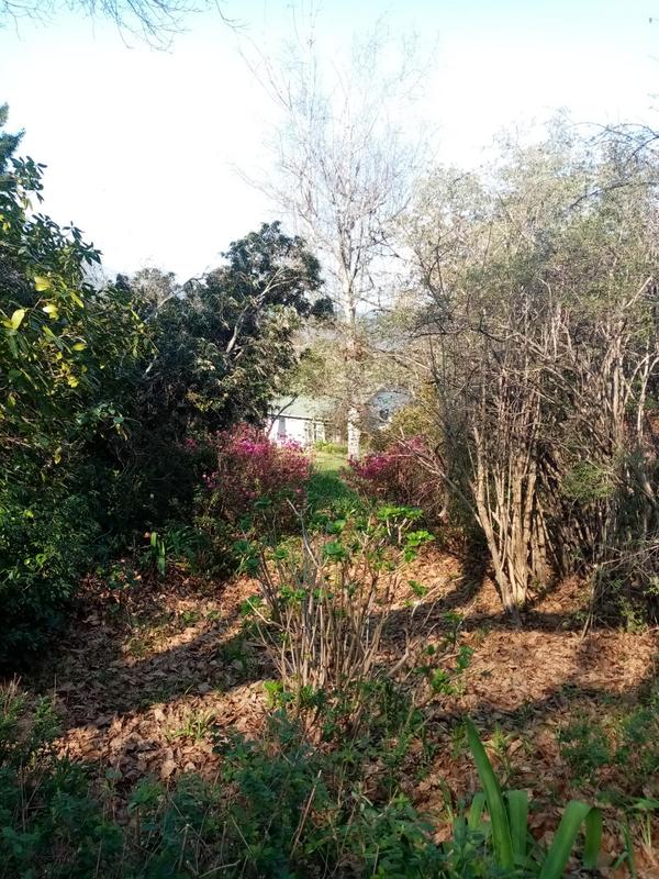 3 Bedroom Property for Sale in Hogsback Eastern Cape